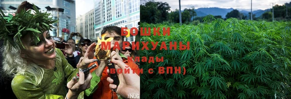 дживик Надым