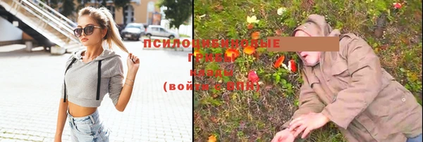 крисы Липки