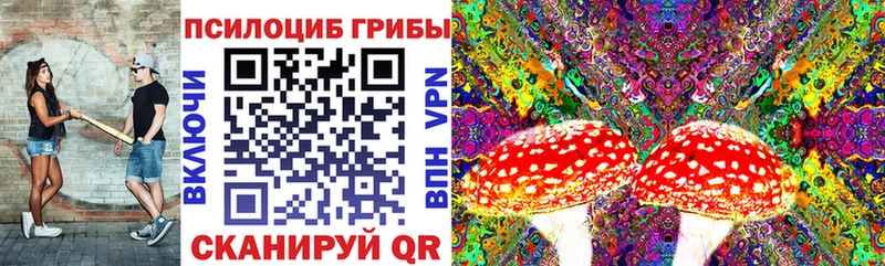 Псилоцибиновые грибы Magic Shrooms  KRAKEN сайт  shop состав  Норильск 