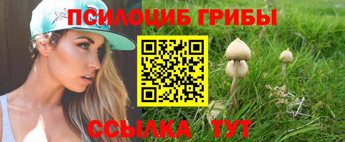 Псилоцибиновые грибы Magic Shrooms  Вход с VPN  Норильск 
