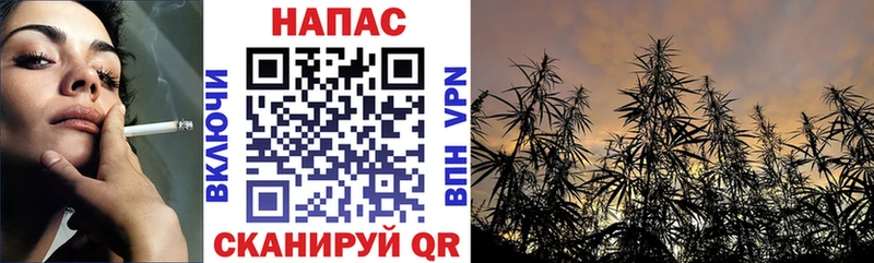 Бошки Шишки White Widow  закладка  Норильск 